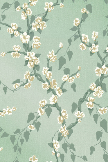Sakura - Aqua Lustre