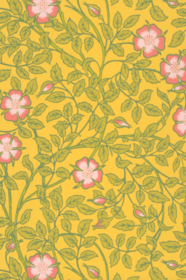 Briar Rose - Indian Yellow