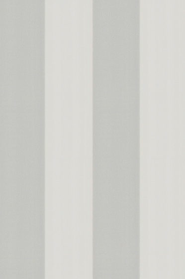 Broad Stripe - Forum