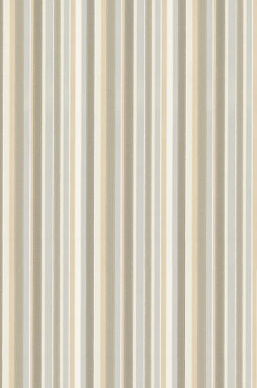 Tailor Stripe - Taupe